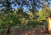 Non-developable land for sale on España, Galaroza, ref: TR120938 photo
