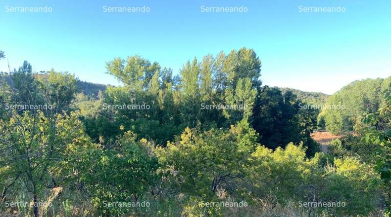 Huelva - Galaroza - 7165m2