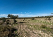 Non-developable land for sale on España, San Isidro de Nijar, ref: TR383887 photo