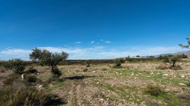 Альмерия - Níjar - 10000m2
