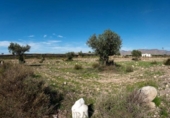 Non-developable land for sale on España, San Isidro de Nijar, ref: TR383887 photo