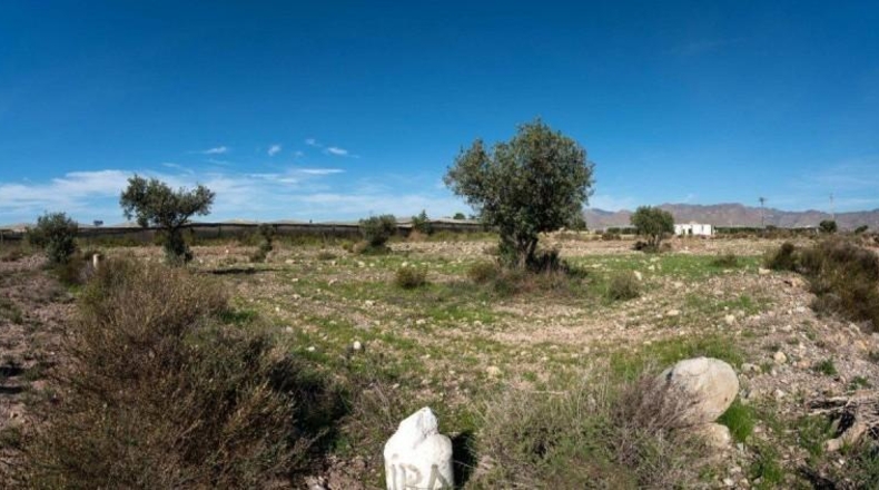 Альмерия - Níjar - 10000m2