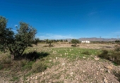 Non-developable land for sale on España, San Isidro de Nijar, ref: TR383887 photo