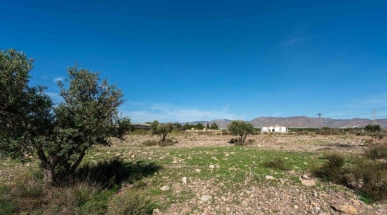 Альмерия - Níjar - 10000m2