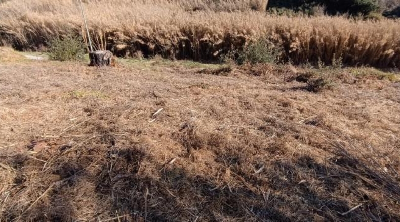 Barcelona - Sant Celoni - 615m2