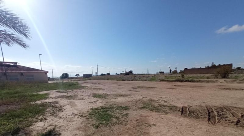 Murcia - Murcia - 2000m2