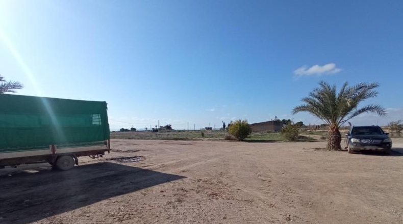 Murcia - Murcia - 2000m2