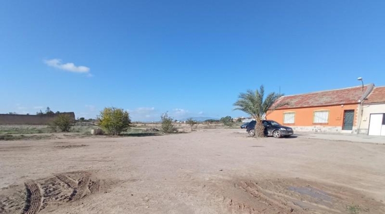 Murcia - Murcia - 2000m2