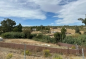 Terreny no urbanitzable en venda a la España, Alhaurín el Grande, ref.: TR218826 foto