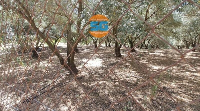 Córdoba - Posadas - 6700m2