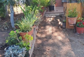 Foto 9