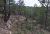 Casa de camp amb terreny en venda a la España, la Torre de les Maçanes, ref.: TR286647 foto