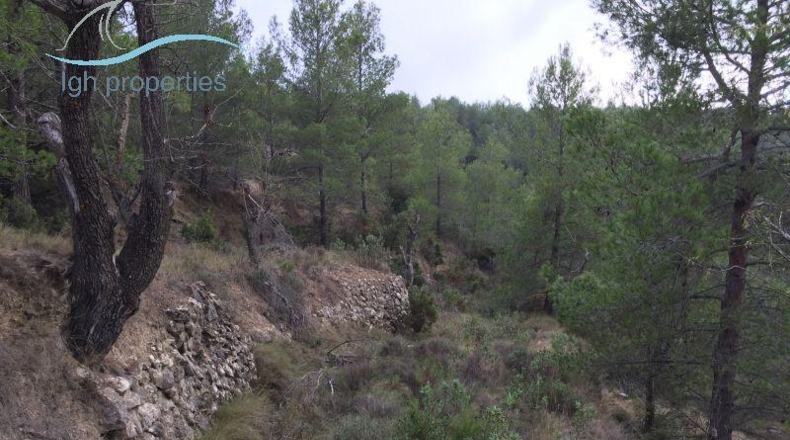Alicante - Torremanzanas - 143067m2