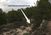 Casa de camp amb terreny en venda a la España, la Torre de les Maçanes, ref.: TR286647 foto