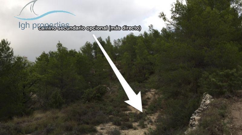 Alicante - Torremanzanas - 143067m2
