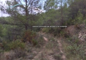 Casa de camp amb terreny en venda a la España, la Torre de les Maçanes, ref.: TR286647 foto