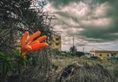 Городская земля под застройку на продажу у города Arona Фото