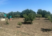 Casa amb terreny en venda a la España, Chiclana de la Frontera, ref.: TR302290 foto