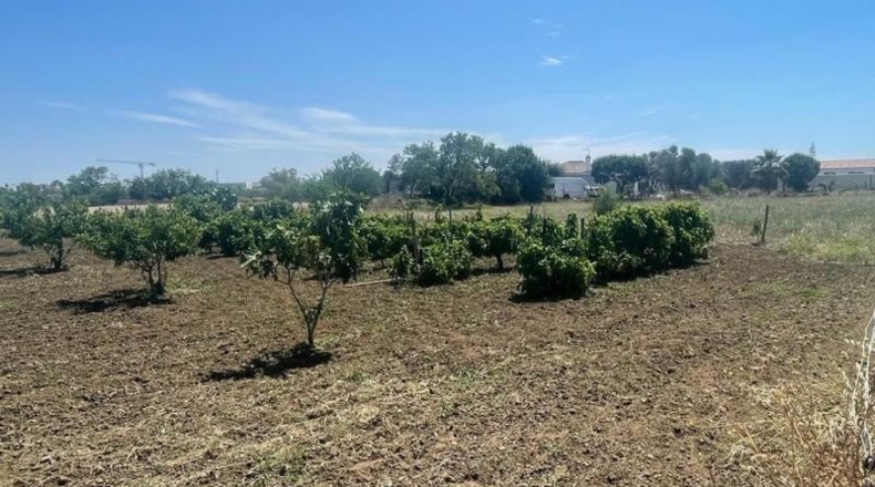 Cádiz - Chiclana de la Frontera - 4536m2