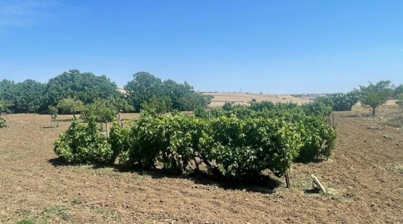 Cádiz - Chiclana de la Frontera - 4536m2
