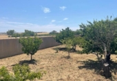 Casa amb terreny en venda a la España, Chiclana de la Frontera, ref.: TR302290 foto