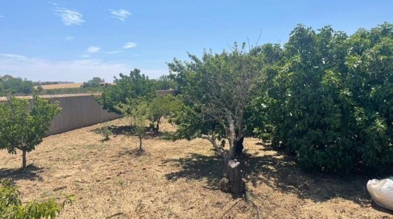 Cádiz - Chiclana de la Frontera - 4536m2
