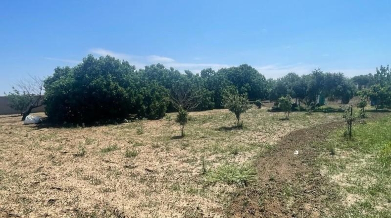 Cádiz - Chiclana de la Frontera - 4536m2