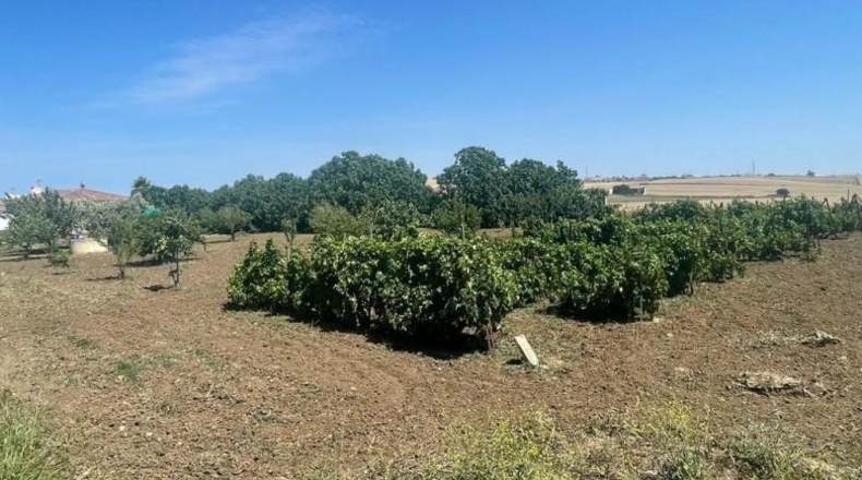 Cádiz - Chiclana de la Frontera - 4536m2