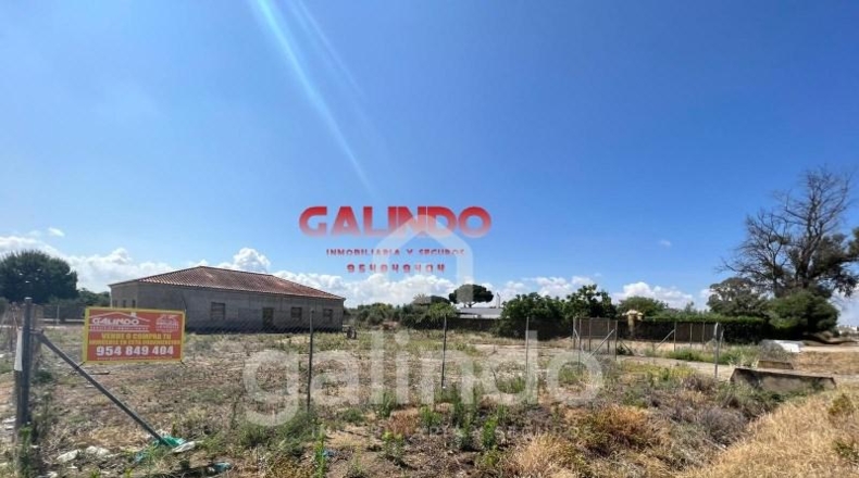 Sevilla - Paradas - 2000m2