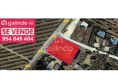 Terreny no urbanitzable en venda a la España, Paradas, ref.: TR197155 foto
