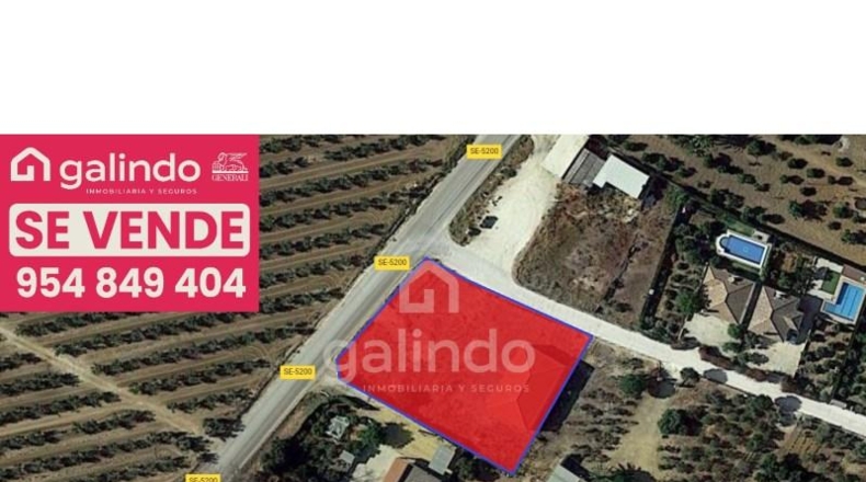 Sevilla - Paradas - 2000m2