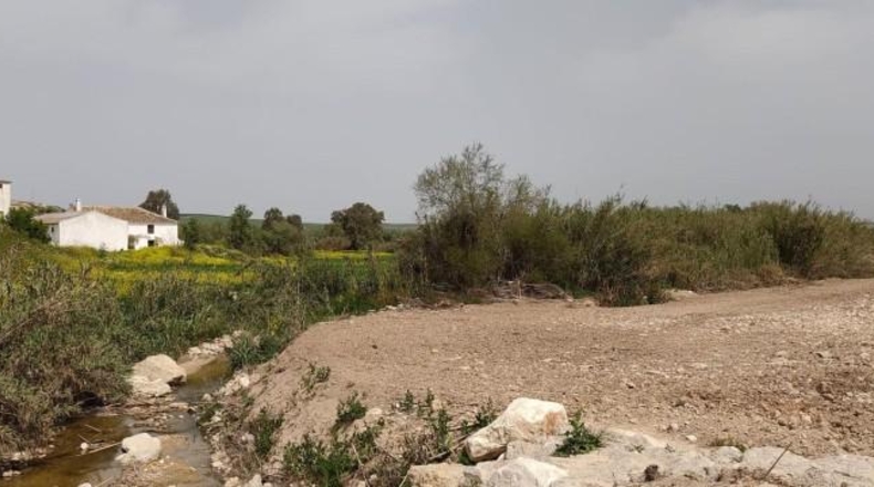 Sevilla - Écija - 12977m2