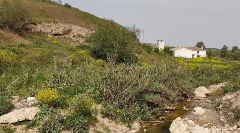 Sevilla - Écija - 12977m2