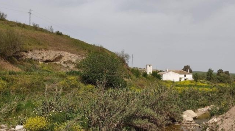 Sevilla - Écija - 12977m2