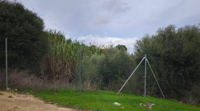 Cádiz - San Roque - 1267m2