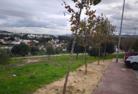 San Roque 1267&nbsp;m² 