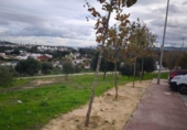 Sòl urbà en venda a la España, San Roque, ref.: TR370049 foto