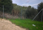 Sòl urbà en venda a la España, San Roque, ref.: TR370049 foto