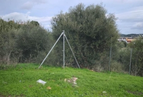 San Roque 1267&nbsp;m² 