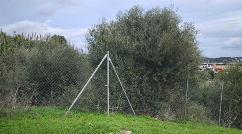Cádiz - San Roque - 1267m2