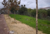 Sòl urbà en venda a la España, San Roque, ref.: TR370049 foto