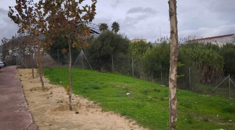 Cádiz - San Roque - 1267m2