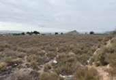 Terreny no urbanitzable en venda a la España, Montfort, ref.: TR349374 foto