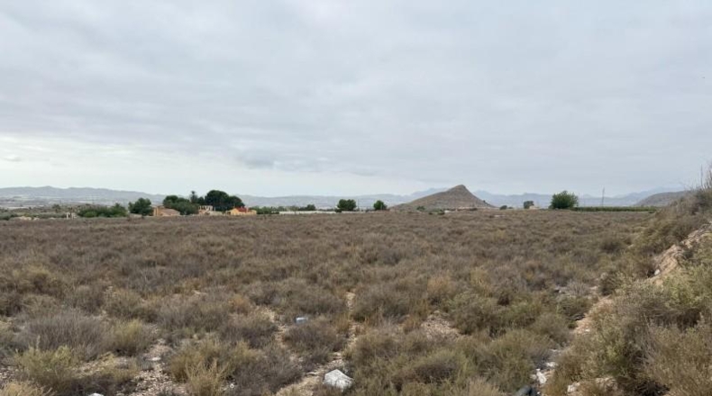 Alicante - Monforte del Cid - 38567m2