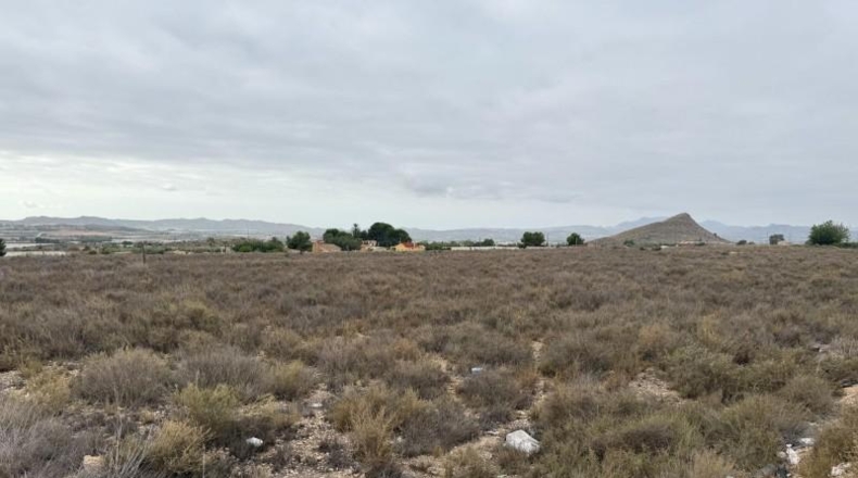 Alicante - Monforte del Cid - 38567m2