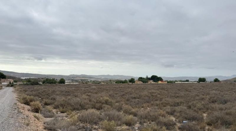 Alicante - Monforte del Cid - 38567m2