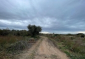 Terreny no urbanitzable en venda a la España, Cambrils, ref.: TR340880 foto