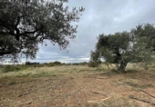Terreny no urbanitzable en venda a la España, Cambrils, ref.: TR340880 foto