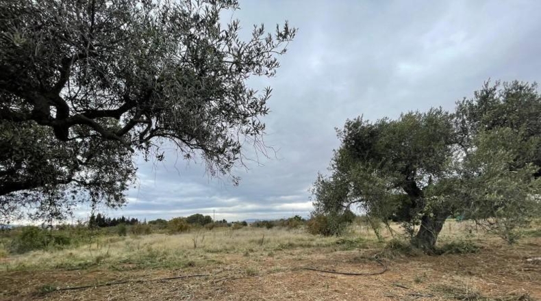 Tarragona - Cambrils - 4657m2