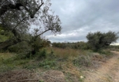 Terreny no urbanitzable en venda a la España, Cambrils, ref.: TR340880 foto